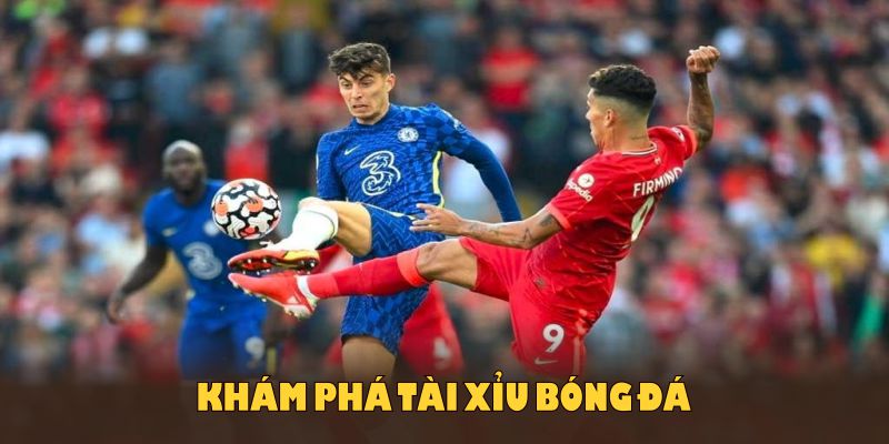 Khám phá tài xỉu bóng đá là gì tại WW88 ngay từ bây giờ