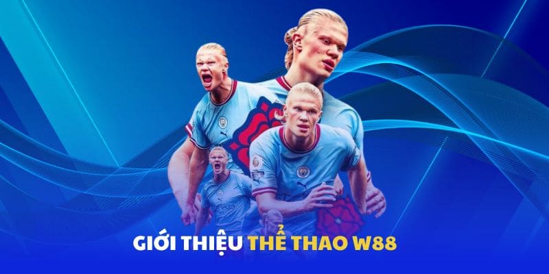 Khái quát về siêu phẩm thể thao hàng đầu thị trường