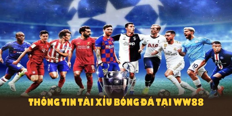 Thông tin tài xỉu bóng đá là gì tại WW88 dành cho người mới